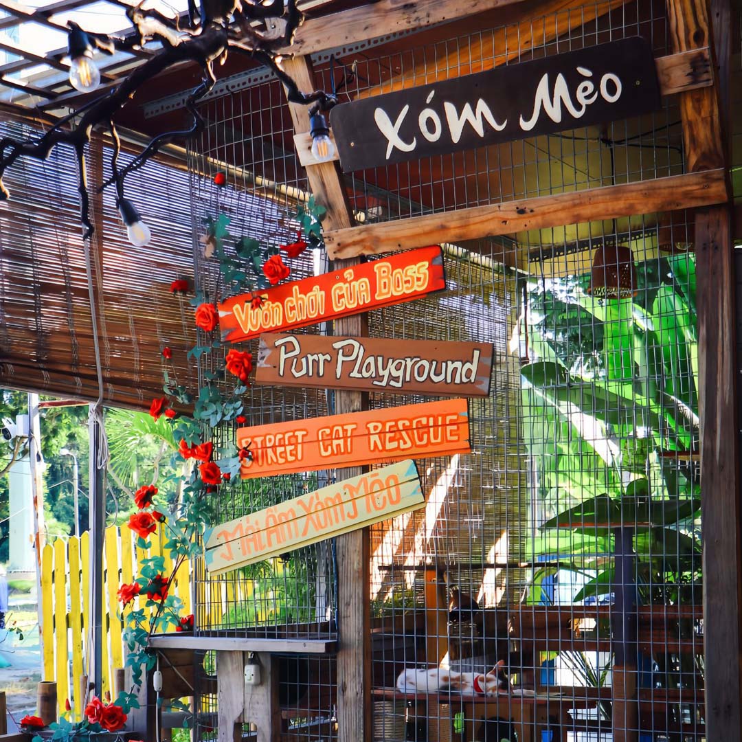 Xóm Mèo Coffee